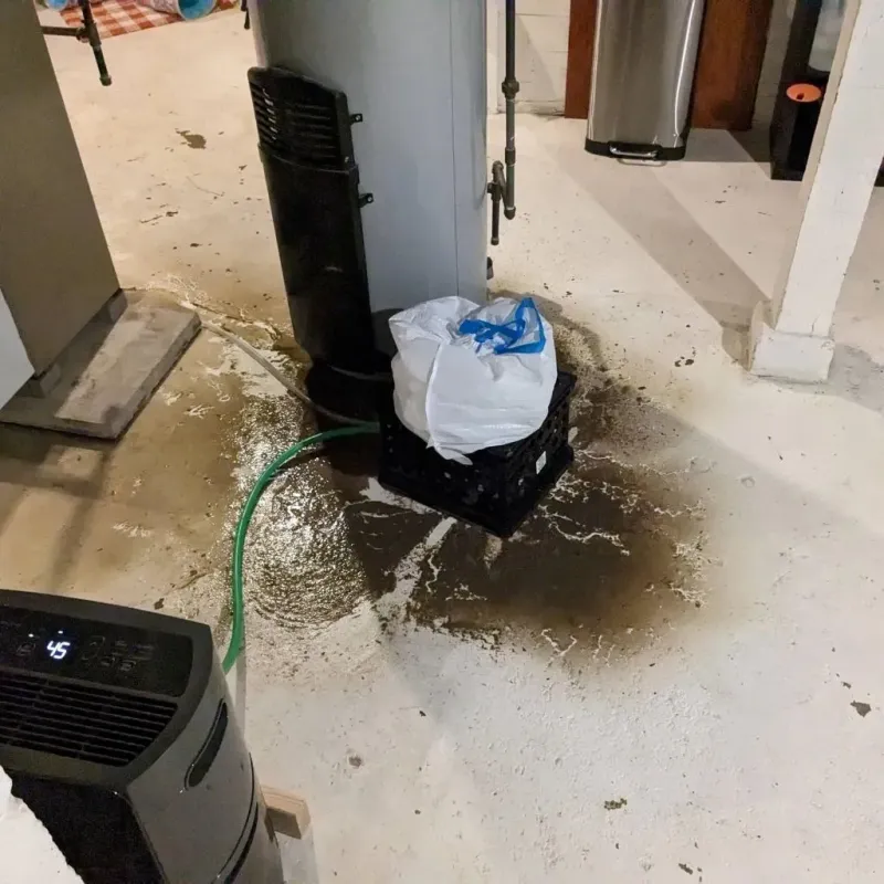 Sewage Backup Cleanup Service in Atlantic, IA